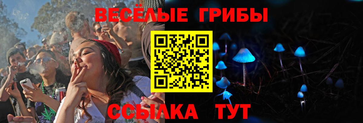 Псилоцибиновые грибы ЛСД  Псилоцибиновые грибы Psilocybe  Вход с VPN  Мончегорск 