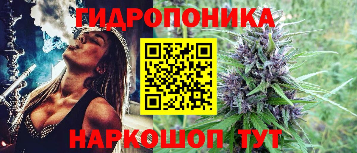 Бошки Шишки AK-47 Мончегорск